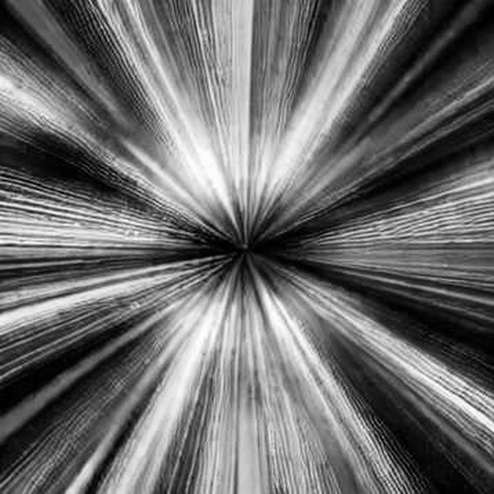 The On-Chain Siege: Decoding the Whale Cluster Positioning Ahead of the ARB Grant Vote