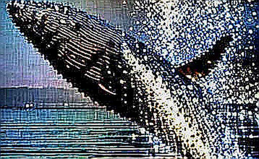 The Fatal Flaw in Athlete Meme Coins: Why Speculation Without Standards Collapses The Fatal Flaw in Athlete Meme Coins: Why Speculation Without Standards Collapses
