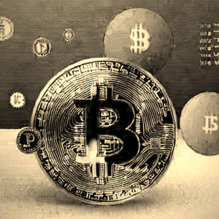 The Gravity of Trust: Shiba Inu's Liquidity Mirror and the Question of Value